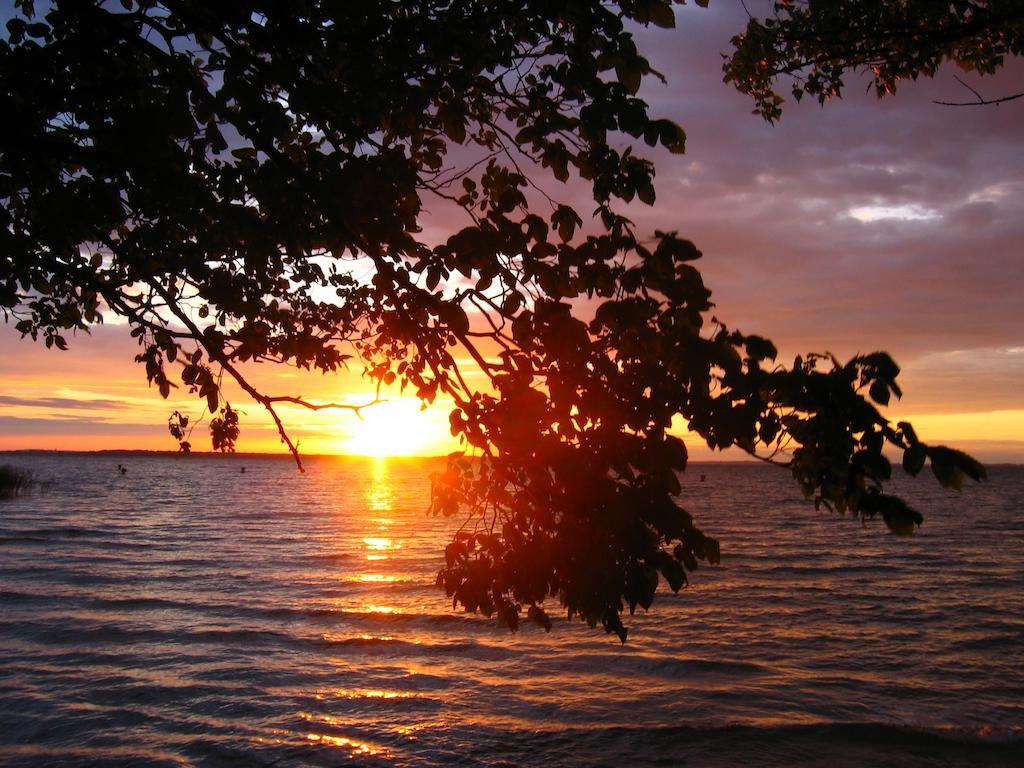 Feriendorf Boeker Muehle Oda fotoğraf